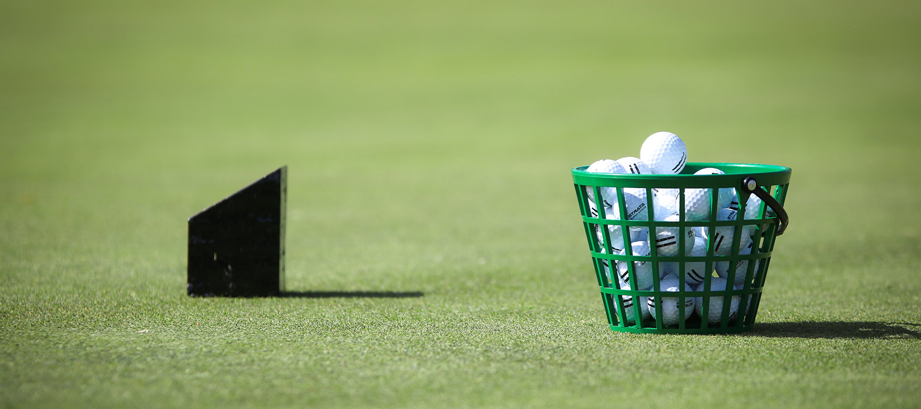 Golf balls in a basket on course